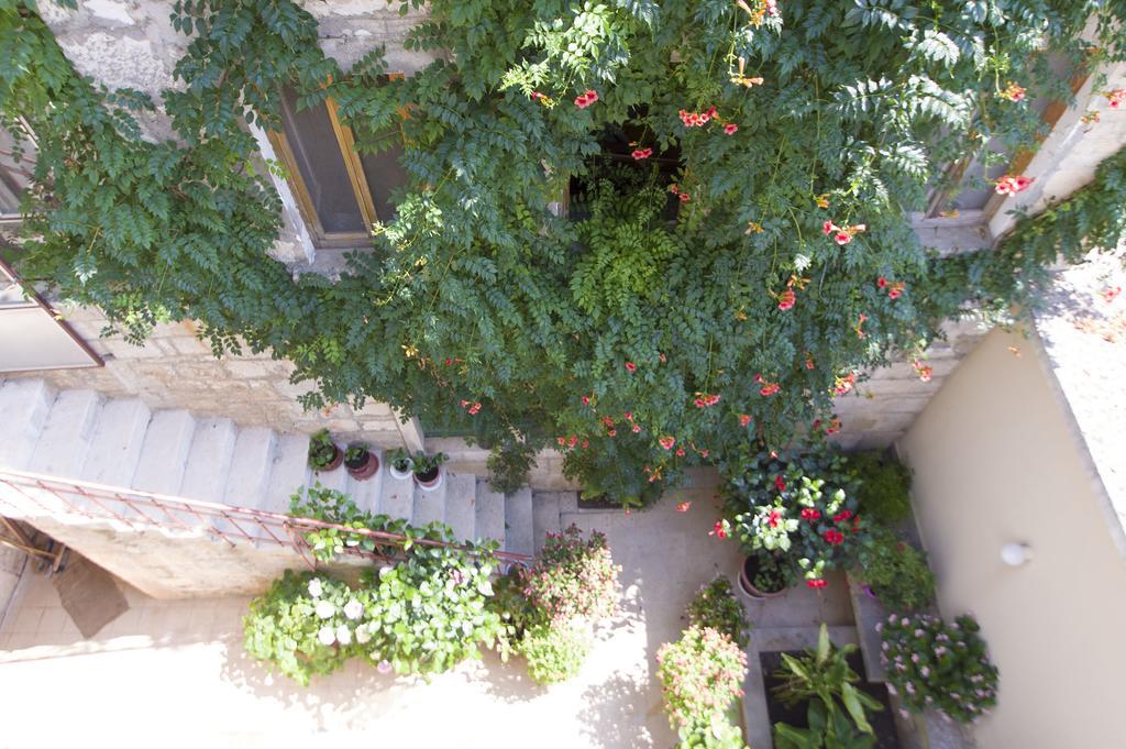 Sobe Andreis Hotel Vela Luka Eksteriør billede